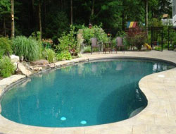 Bean Shaped Pool Manufacturer in Rajkot