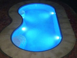 Bean Shaped Pool Manufacturer in Rajkot