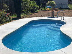 Kidney Shaped Swimming Pools Manufacturer in Rajkot