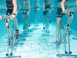 Wetfit Aqua Gym Manufacturer in Rajkot